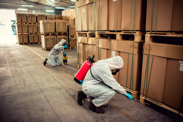 Best Pest Prevention Services  in Summerset, SD