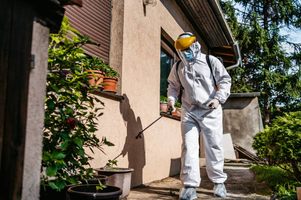 Best Affordable Pest Control Services  in Summerset, SD