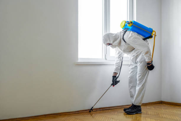 Best Local Pest Control Services  in Summerset, SD