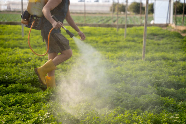 Best Pest Control for Businesses  in Summerset, SD