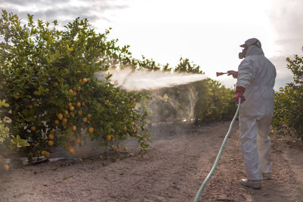 Best Mosquito Control Services  in Summerset, SD